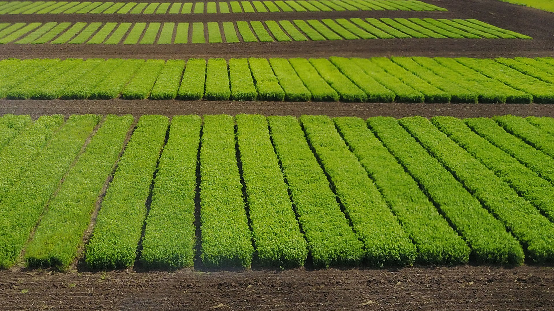 Ekosem Agrar Moderne Landwirtschaft In Neuer Dimension